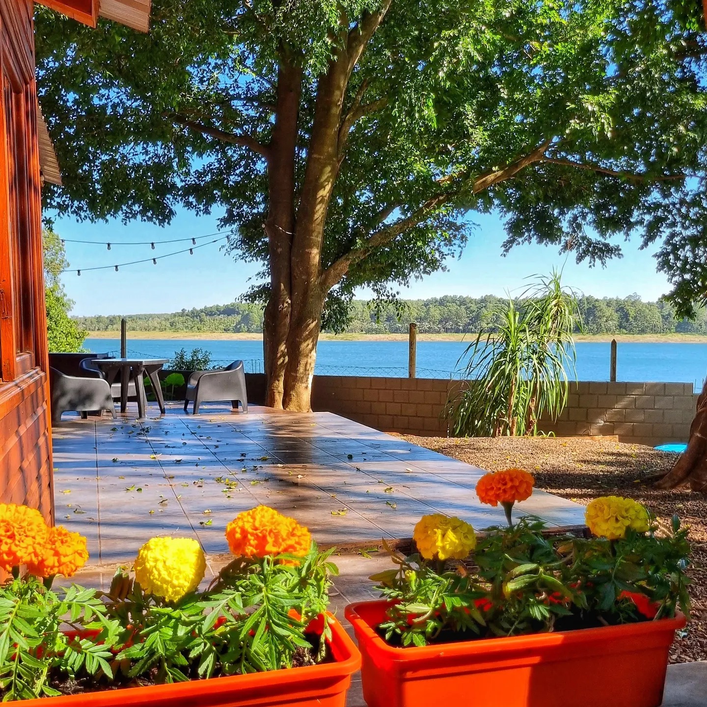 Los copetes naranjas del deck, con el lago al fondo
