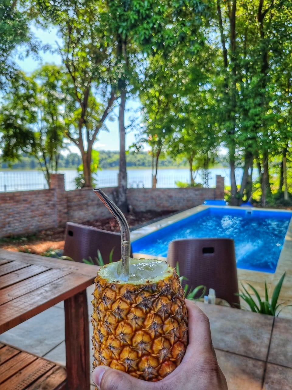Un ananá en la mano, la pileta y el lago de fondo