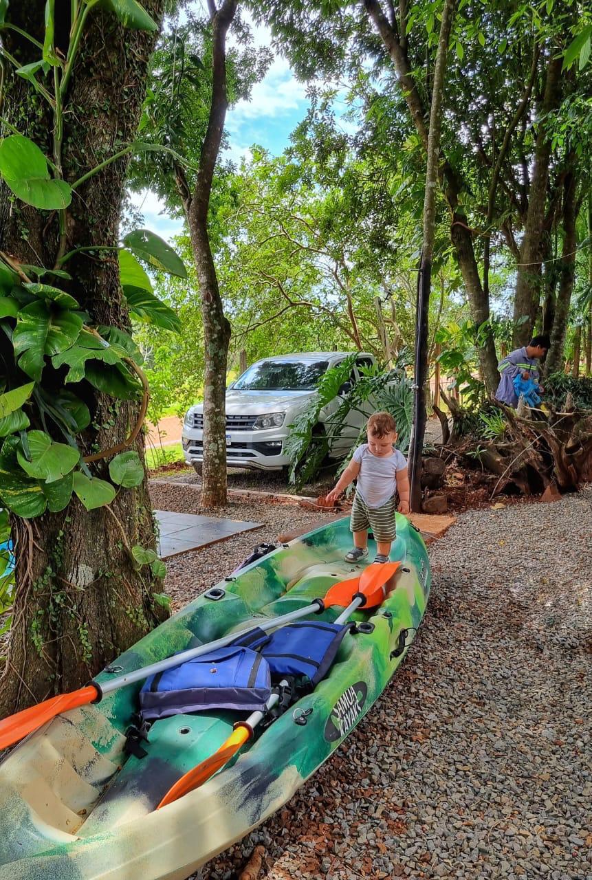 El kayak apoyado junto al árbol